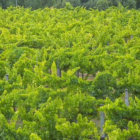 Çiftlik konaklama Quinta Secas *