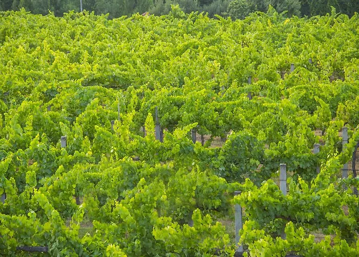 Фермерский дом Quinta Secas *